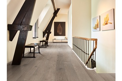 Belvoir 50-LVREXL-2594