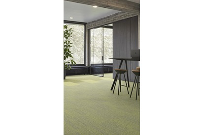 IN_Essence_6408_7075_EssenceStripe_7003_001